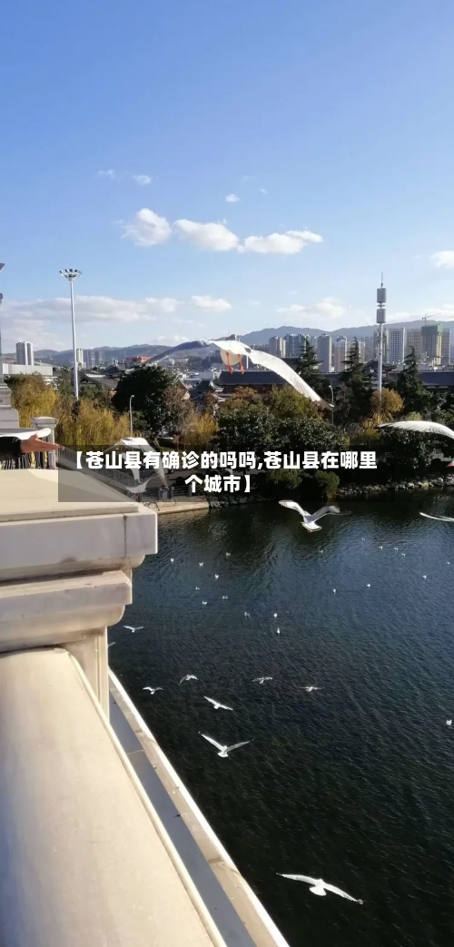 【苍山县有确诊的吗吗,苍山县在哪里个城市】