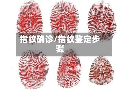 指纹确诊/指纹鉴定步骤-第2张图片