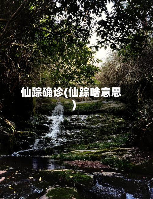 仙踪确诊(仙踪啥意思)
