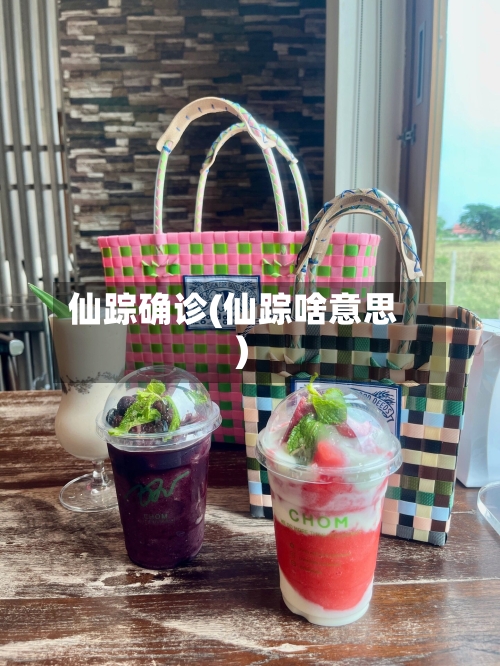 仙踪确诊(仙踪啥意思)-第2张图片
