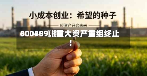 30036〖捌〗、600499，重大资产重组终止！