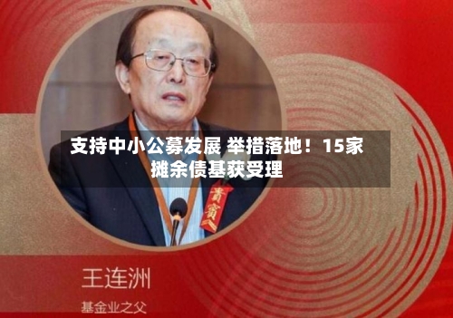 支持中小公募发展 举措落地！15家摊余债基获受理