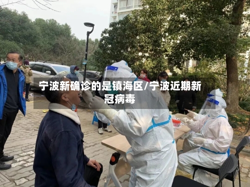 宁波新确诊的是镇海区/宁波近期新冠病毒-第2张图片