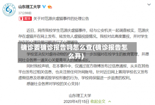 确诊要确诊报告吗怎么查(确诊报告怎么开)-第2张图片