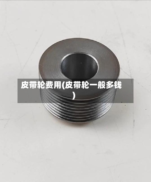 皮带轮费用(皮带轮一般多钱)-第3张图片